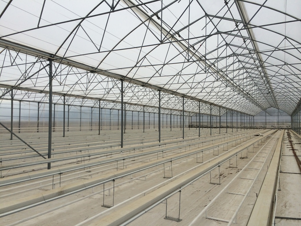 Промышленные теплицы, цена от 780 до 1100 руб/м2, купить с доставкой по ...